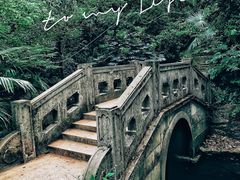 -灵谷景区