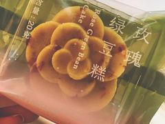 -蒲公英(五里店)