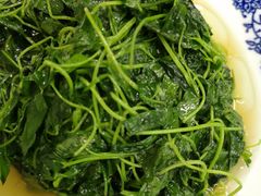 酒香金花菜-协和菜馆(凤凰街店)