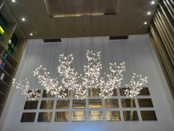 -郑州万安妇产医院