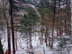 -峡谷浮石林景区