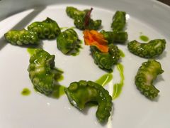 芥末青酱八爪鱼-CHIC1699远洋私厨