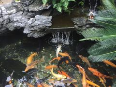 -黄埔古港