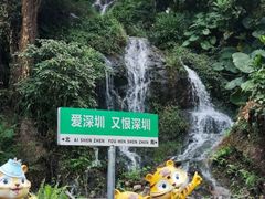 -青青世界