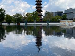 -龙华素斋(龙华路店)