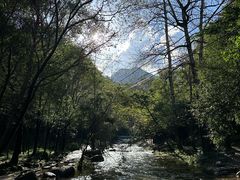 -玉渡山自然风景区