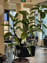 -凯博K-boom Hair Salon