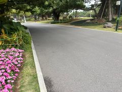 -南宁南湖公园