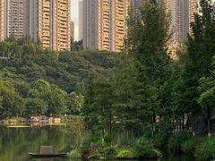 -重庆彩云湖湿地公园
