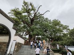 -新安江山水画廊风景区