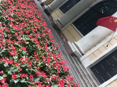 -白天鹅宾馆·流浮阁咖啡厅