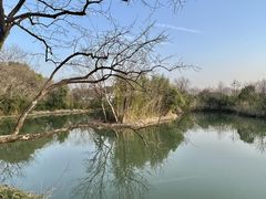 -西溪国家湿地公园