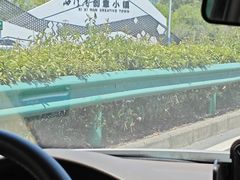 -西溪南古村落
