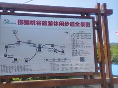 -大岭沟猕猴桃谷风景区