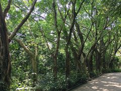 -南沙天后宫景区