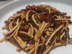-丁老爷子苏香圆