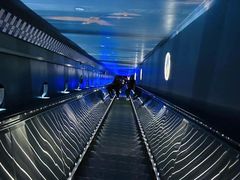 -白鹤梁水下博物馆