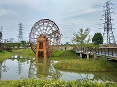 -王借岗森林公园