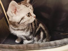 -拜鲁耶动物诊疗中心·宠家动物医院