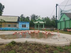 -秦皇岛野生动物园