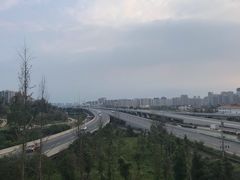 -白鹭湾湿地公园