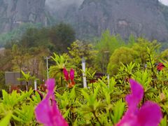 -玻璃桥景区石牛寨