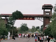 -泗洪洪泽湖湿地景区