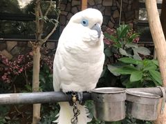 -南宫五洲植物乐园