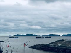 -北岐滩涂