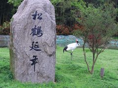 -杭州野生动物世界