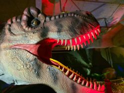 点击看大图 -恐龙探索乐园(磁器口店)