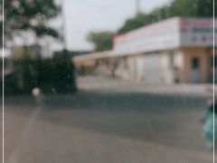 -秋霞圃