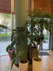 -娇玫荟SPA