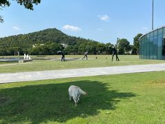 -上海月湖雕塑公园