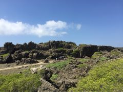 龙坑生态保护区-龙坑生态保护区