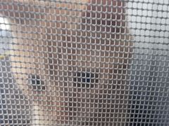 -宠福鑫康馨动物医院·骨科·眼科