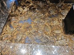 -亚马逊海鲜自助(梅溪湖步步高店)