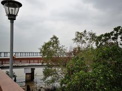 -宝安西湾红树林湿地公园