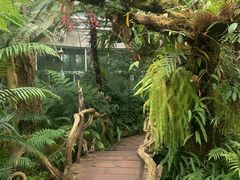 -昆明植物园