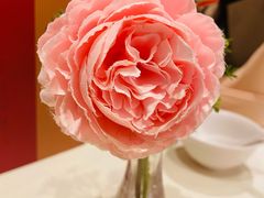 -利苑酒家(合景国际金融广场店)