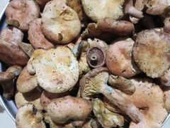 -三锅莊·牦牛肉火锅·香格里拉特色藏餐宴请餐厅(昆明创始店)