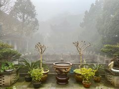 -普陀山风景区-佛顶山