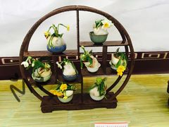 -龙大花卉苗木市场