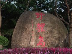 -野狸岛