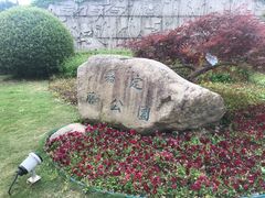 -嘉定紫藤园