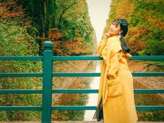 -东平国家森林公园