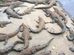 -广东茂名森林公园