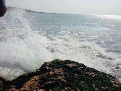 -日照海滨国家森林公园