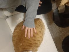 -小时光咖啡馆(北锣鼓巷店)
