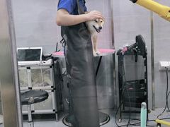 -宠福鑫康馨动物医院·骨科·眼科